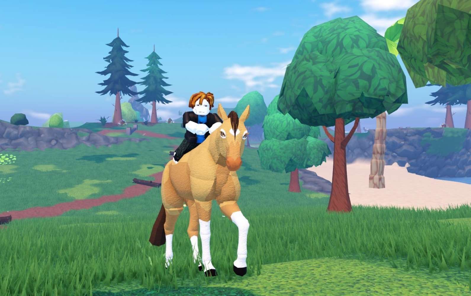 Supplied asset exp-horse-life